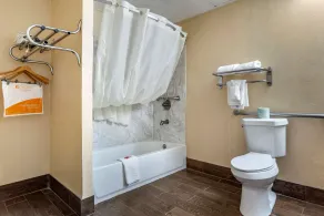 Econo Lodge Oxford near Choccolocco Park - Salle de bain