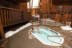 Gravity Haus Truckee-Tahoe - Piscine