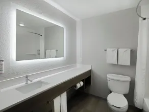 Holiday Inn Express & Suites Lakeland North I-4 by IHG - Salle de bain