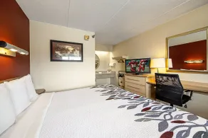 Red Roof Inn Albany Airport - Chambre