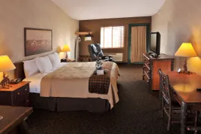 Stoney Creek Hotel St. Joseph - Chambre