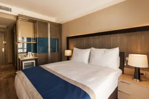 Holiday Inn Kayseri - Duvenonu by IHG - Chambre