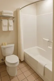Econo Lodge Frackville - Bathroom
