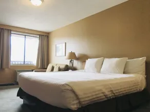 Thunderbird Motor Inn - Chambre