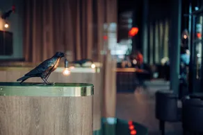Liseberg Grand Curiosa Hotel - Restaurant