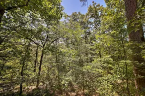 NEU! Eureka Springs Studio w / Deck, Ansichten & BBQ! - Innenbereich
