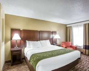 Comfort Suites Lebanon - Chambre