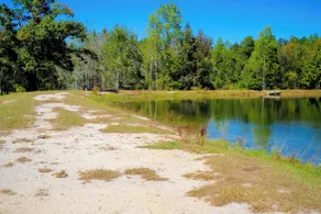 Sylvan Cabin on 73 Acres - Pond On-site! - Interior
