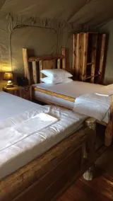 Wag Hill Lodge & Spa - Room