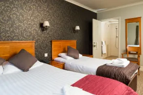 The Dog & Bear Hotel - Room