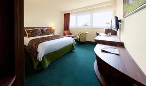 Kyriad Prestige Mulhouse - Basel - Chambre
