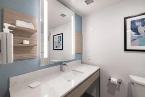 Hilton Garden Inn Albany - Bathroom