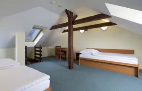 Spa Resort Libverda - Hotel Lesní Zátiší - Camera