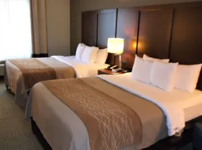 Comfort Inn & Suites Seguin - Chambre