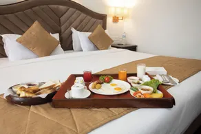 Grand Hotel Kathmandu - Room