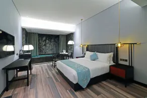 Shuxiang Wenru Hotel - Camera