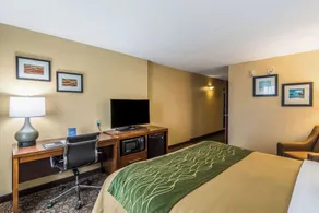Comfort Inn & Suites Panama City North - Chambre