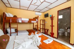 Hotel La Rosa de America - Room