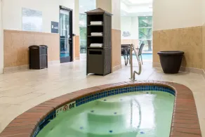 Embassy Suites by Hilton Seattle Tacoma International Airport - Pool