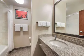 Drury Plaza Hotel Valdosta - Salle de bain