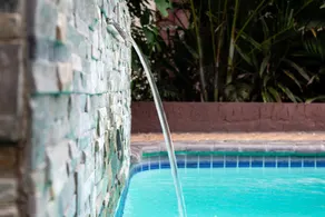 Forest Lodge - Pool