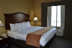 Comfort Suites Alamo-River walk - View from room
