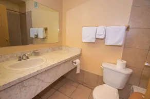 Horizon Motel - Salle de bain