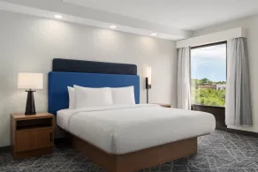 Hampton Inn Farmville, VA - Room