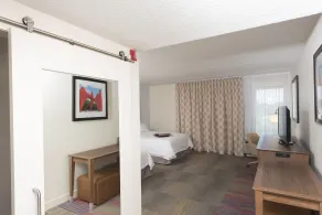 Hampton Inn Grand Rapids-South - Chambre