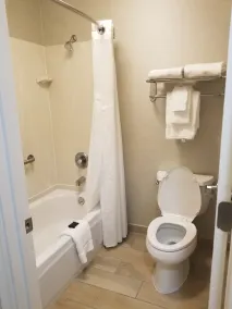 Wingate by Wyndham Savannah I-95 North - Salle de bain