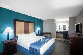 Days Inn by Wyndham Mobile I-65 - Chambre