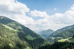 Hotel Onach - Vue de la chambre