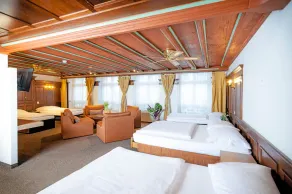 Hotel Baslertor - Room