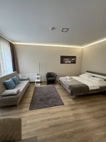 Fenyves Konferencia és Wellness Hotel - Værelse