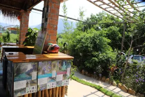 Phong Nha Friendly Home - Recepción