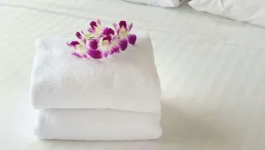 Magnuson Hotel Fowlerville - Værelse