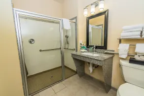 Holiday Inn Express Houston Space Center-Clear Lake by IHG - Salle de bain