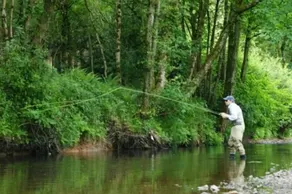 High Bickington Forest View 2 Bedrooms - Innenbereich