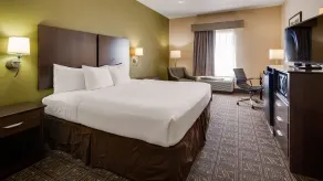 Best Western Rayne Inn - Room