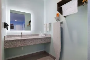Americas Best Value Inn- Aldine Westfield - Baño