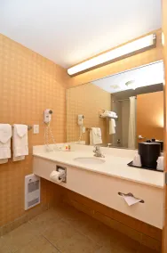 Econo Lodge Inn & Suites University - Salle de bain
