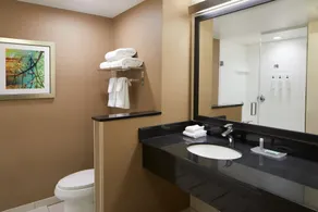 Fairfield Inn & Suites by Marriott Atlanta Lithia Springs - Salle de bain