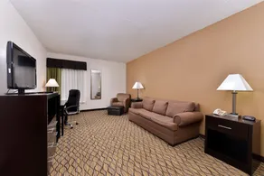 Quality Inn & Suites Matteson near I-57 - Chambre