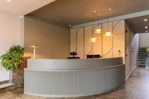 Hotel Los Pasiegos - Réception