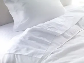 Sheraton Rockville Hotel - Chambre