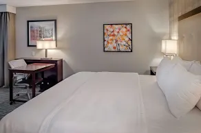 Homewood Suites by Hilton St. Louis Westport - Chambre