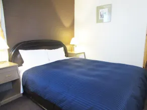 HOTEL LiVEMAX SAPPORO NAKAJIMA PARK GRANDE - Room