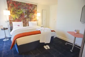 Mercure Lille Métropole - Chambre