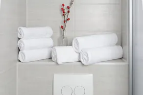 Aparthotel Lenau - Bathroom