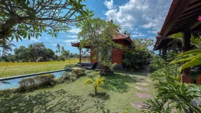 Dapha Eco Lodge Lovina - Pool